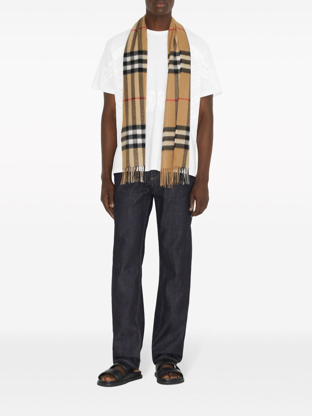 Check Cashmere Scarf 8076576 A7026 BURBERRY