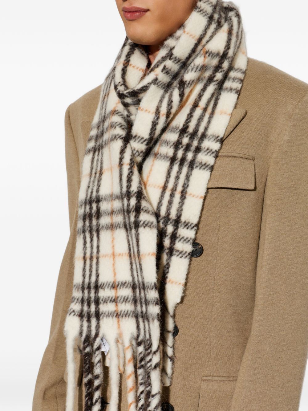 Checked Fringed-Edge Scarf 8130018 A4486 BURBERRY