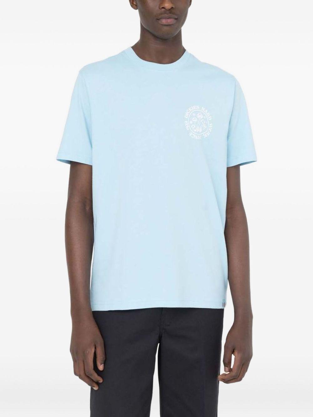 Light blue Bayside Gardens T-Shirt DK0A4YBS E651 DICKIES