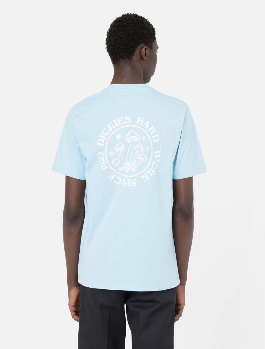 Light blue Bayside Gardens T-Shirt DK0A4YBS E651 DICKIES