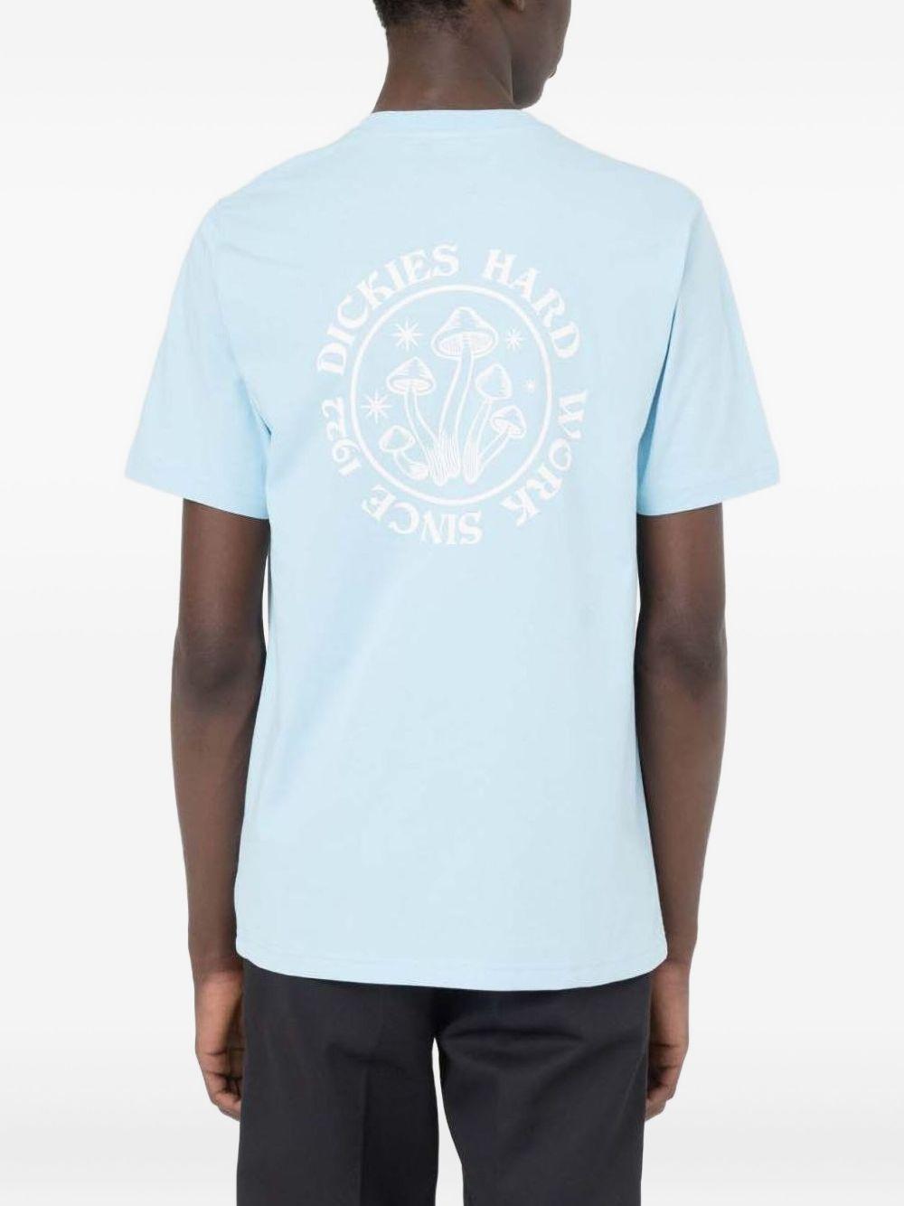 Light blue Bayside Gardens T-Shirt DK0A4YBS E651 DICKIES
