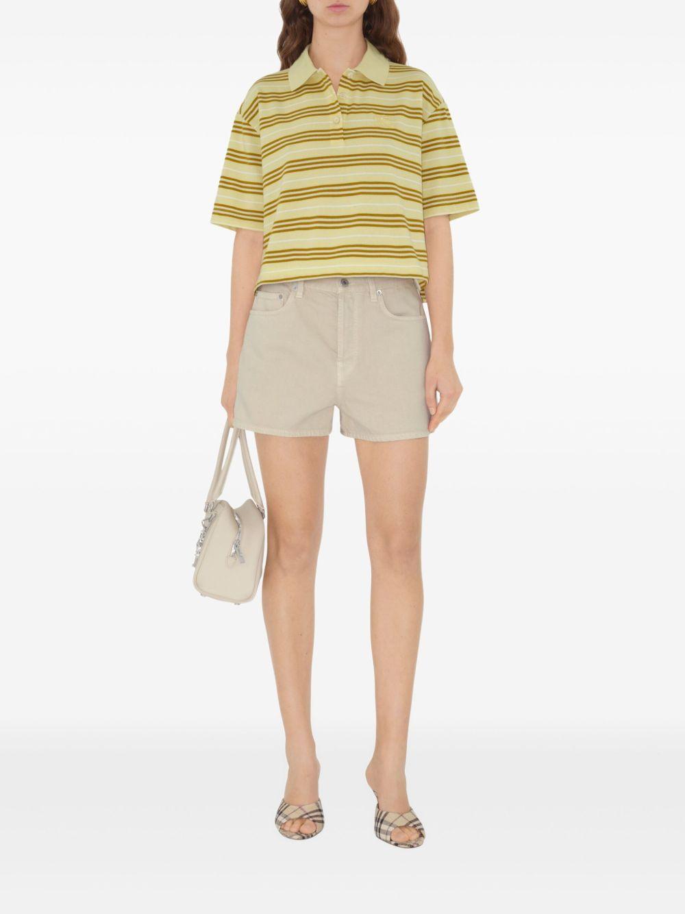 BURBERRY 8106271C2549