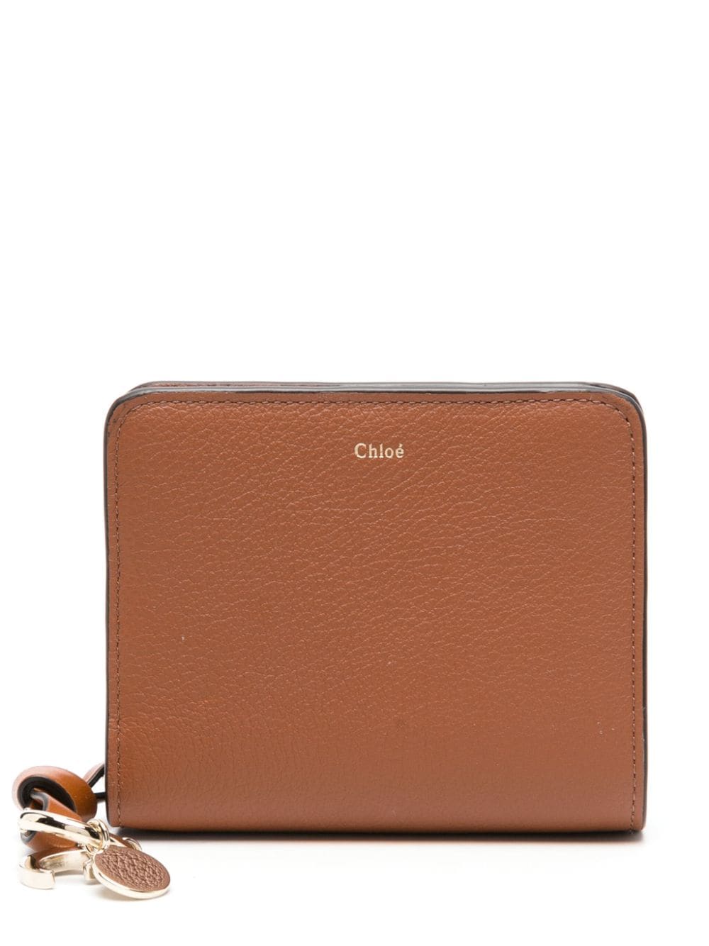 CHLOÉ CHC22WP765F5725M