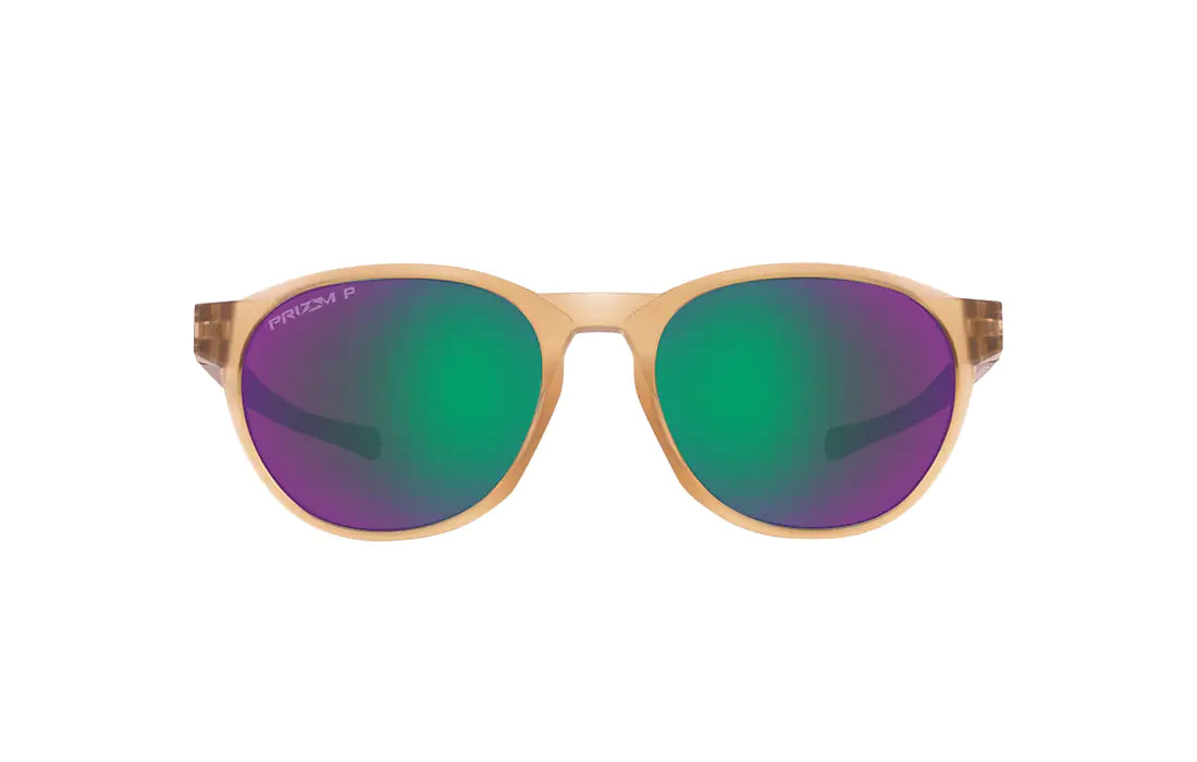 Tinted lenses Reedmace round-frame sunglasses
