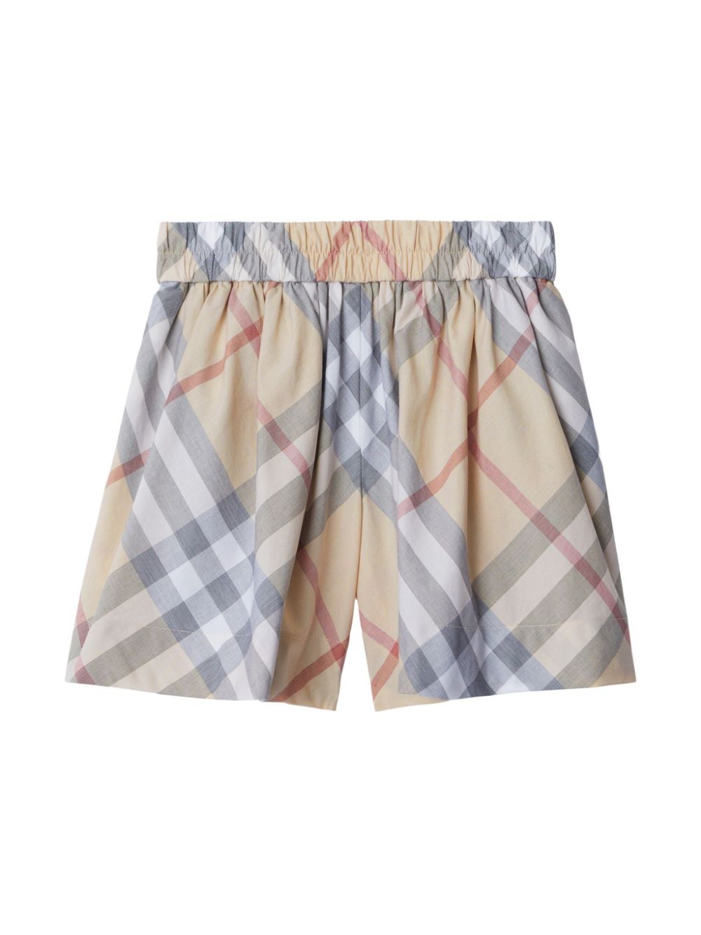 BURBERRY KIDS 8088721A2205