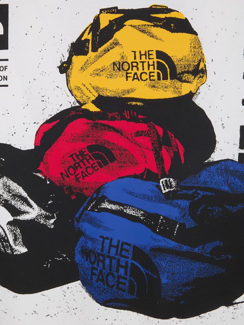 BCD Celebration Relaxed Graphic T-Shirt NF0A8GAQ FN41 THE NORTH FACE 