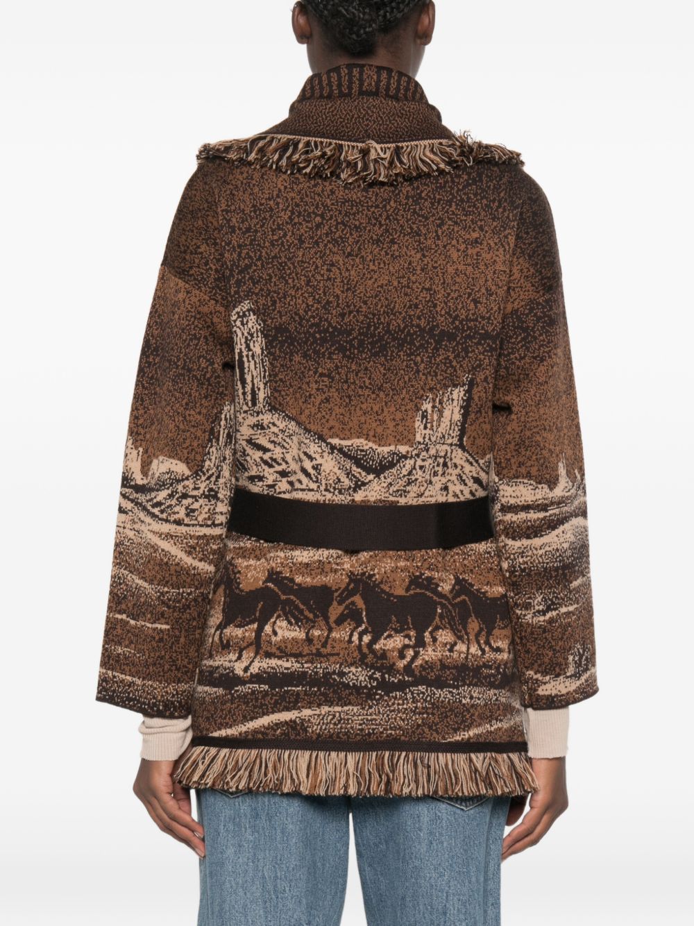 Wild Wild Wool Cardigan LWHB064E26KNI025 6064 ALANUI 