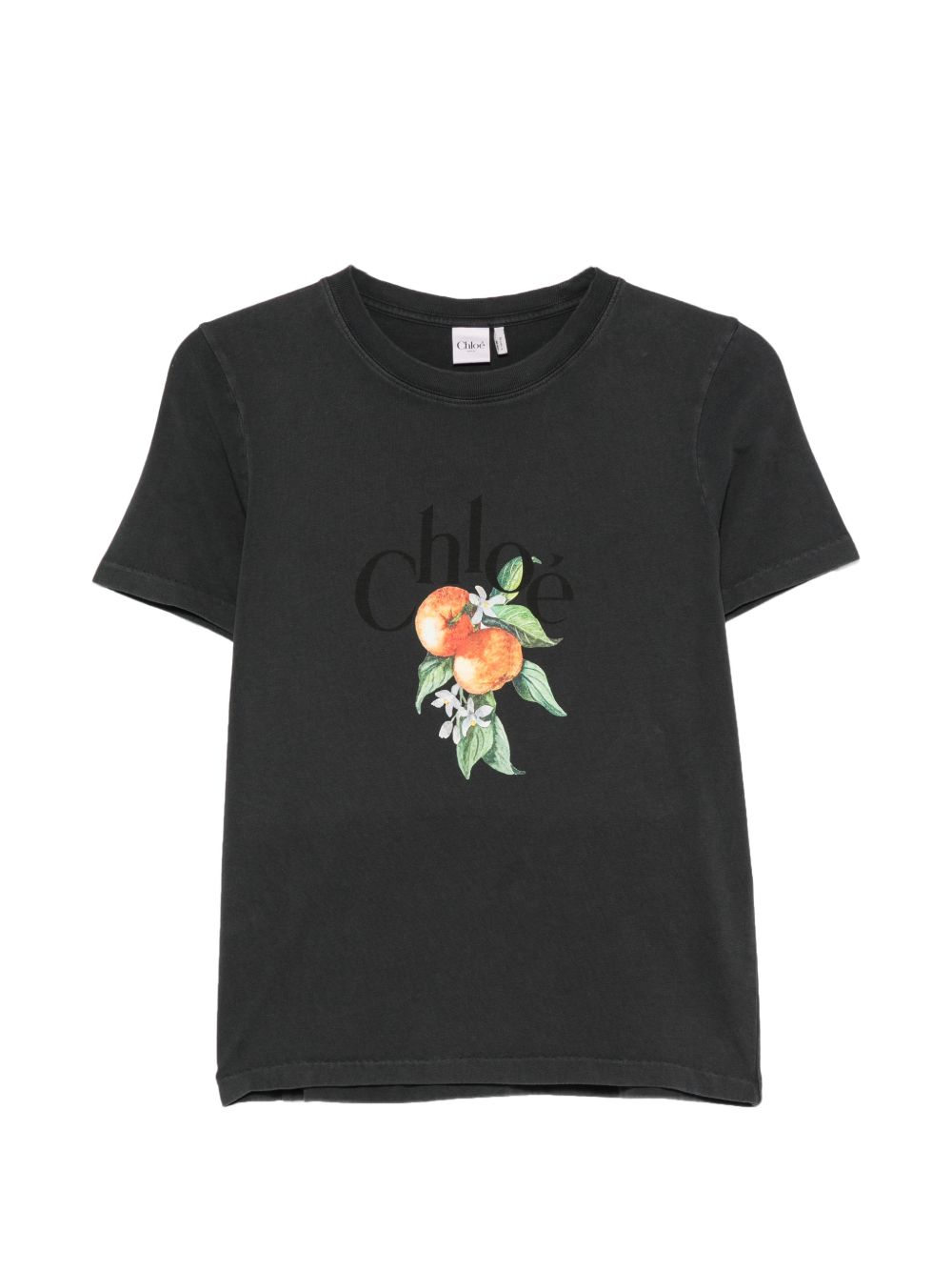Logo T-shirt in cotton jersey CH26AJH08988 070 CHLOÉ 