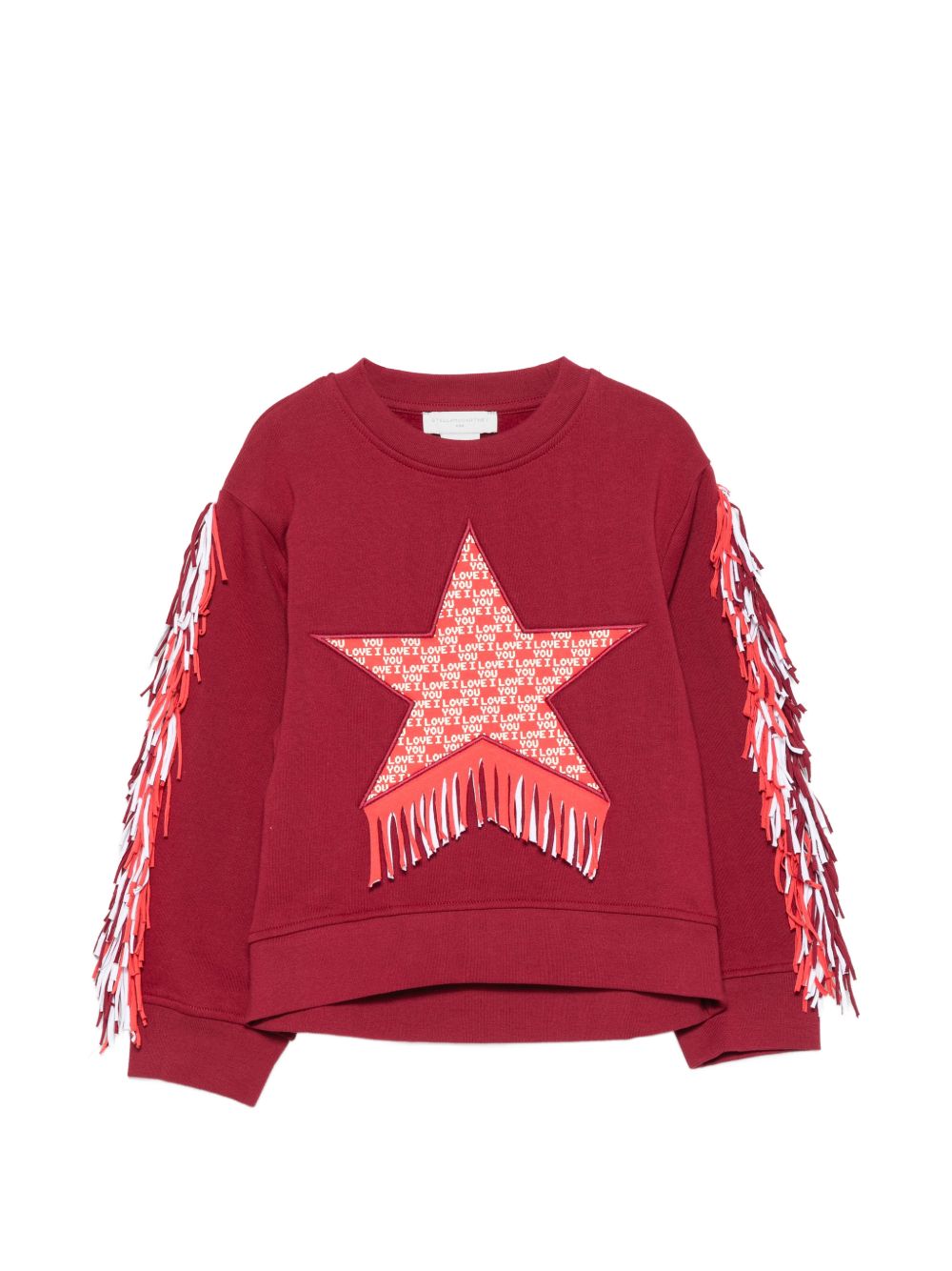 Fringe-detail star-patch sweater TZ4A30 Z3059416 STELLA McCARTNEY KIDS 