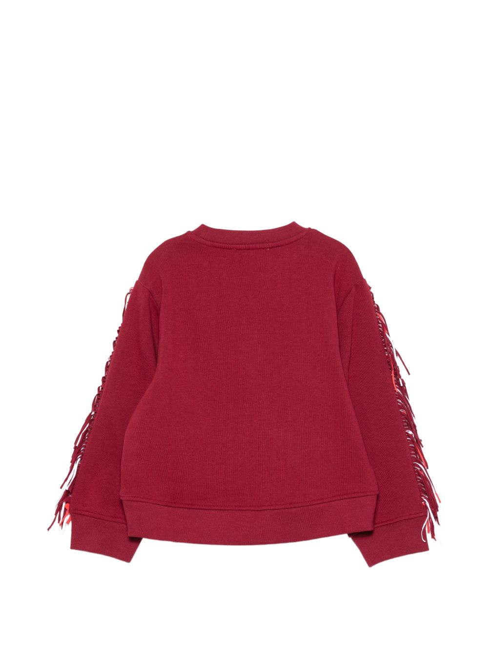 Fringe-detail star-patch sweater TZ4A30 Z3059416 STELLA McCARTNEY KIDS 