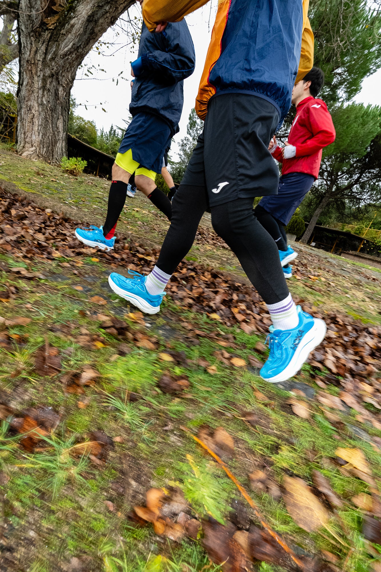 Evento TRICOT & Hoka