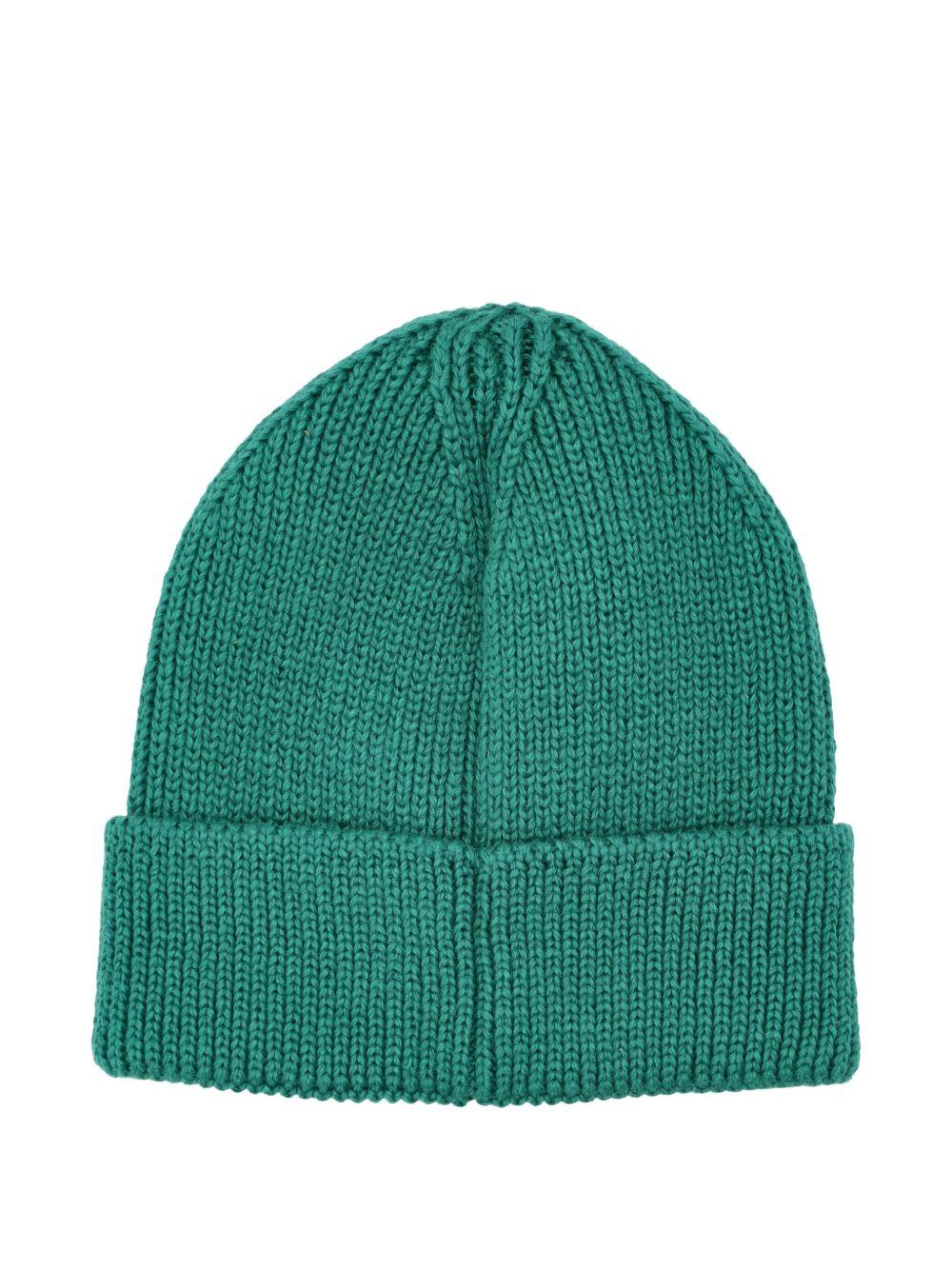 Logo patch beanie NF0A8CHE NL11 THE NORTH FACE 