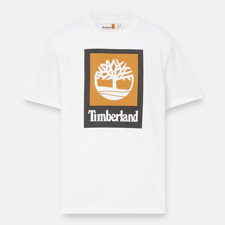 TIMBERLAND TB0A5QS21001