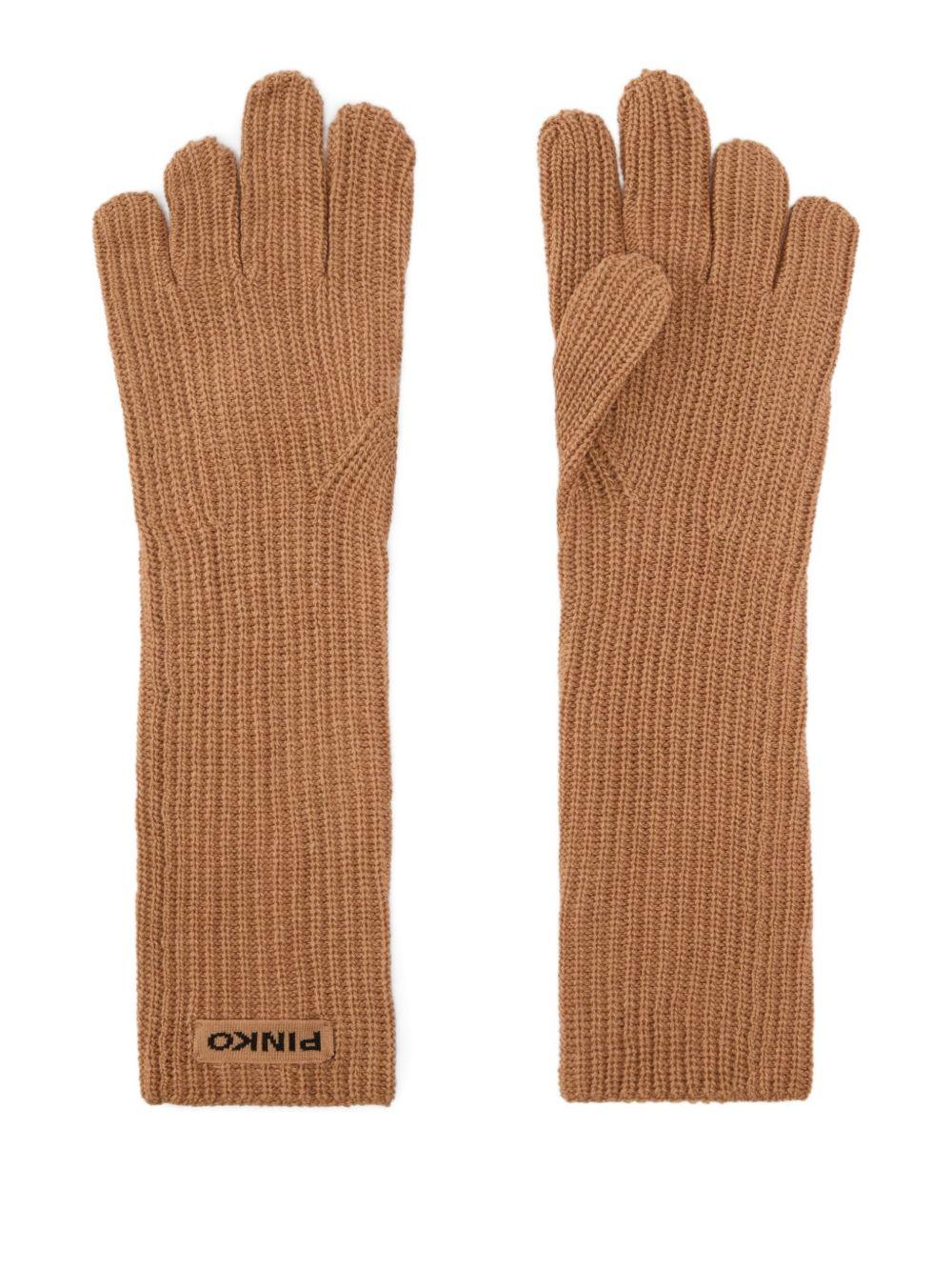 Long gloves in wool and cashmere blend 105997 A2Z4D23 PINKO 