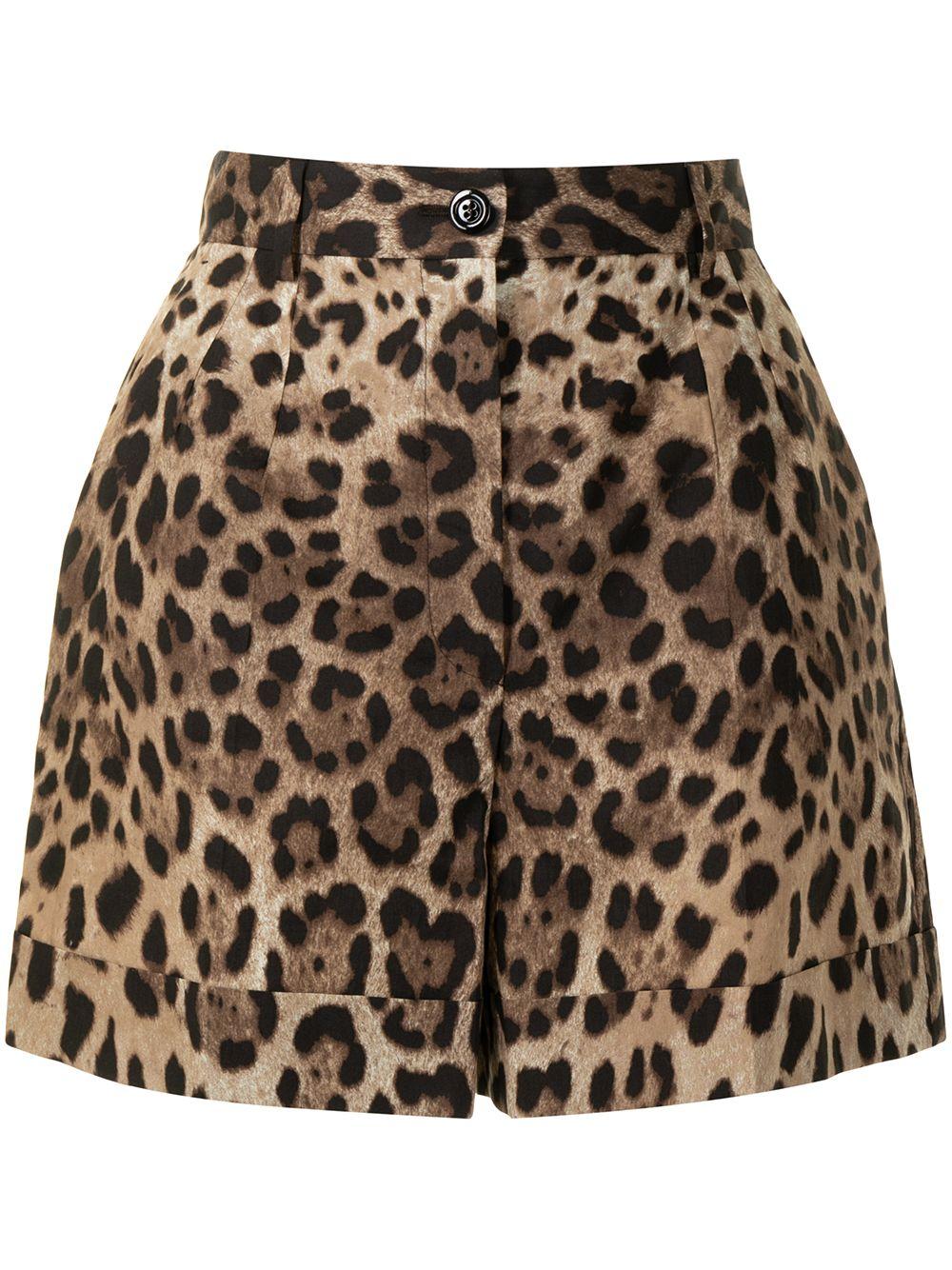 Leopard print poplin shorts FTASXT HS5E3HY13M DOLCE & GABBANA 