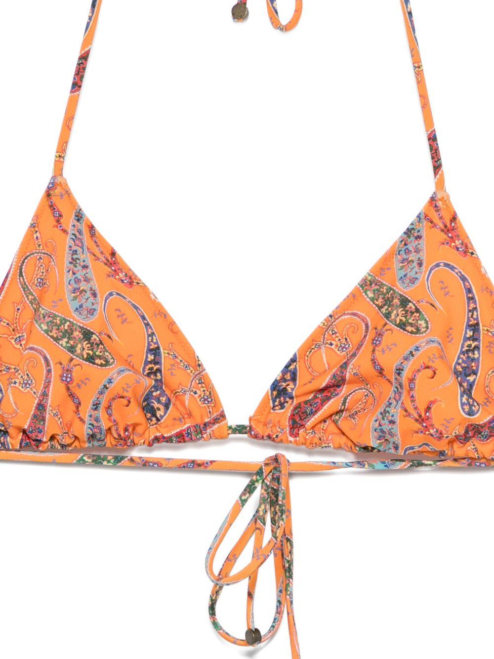 Paisley foliage pattern bikini WRPB0008 AKH78X0851 ETRO 