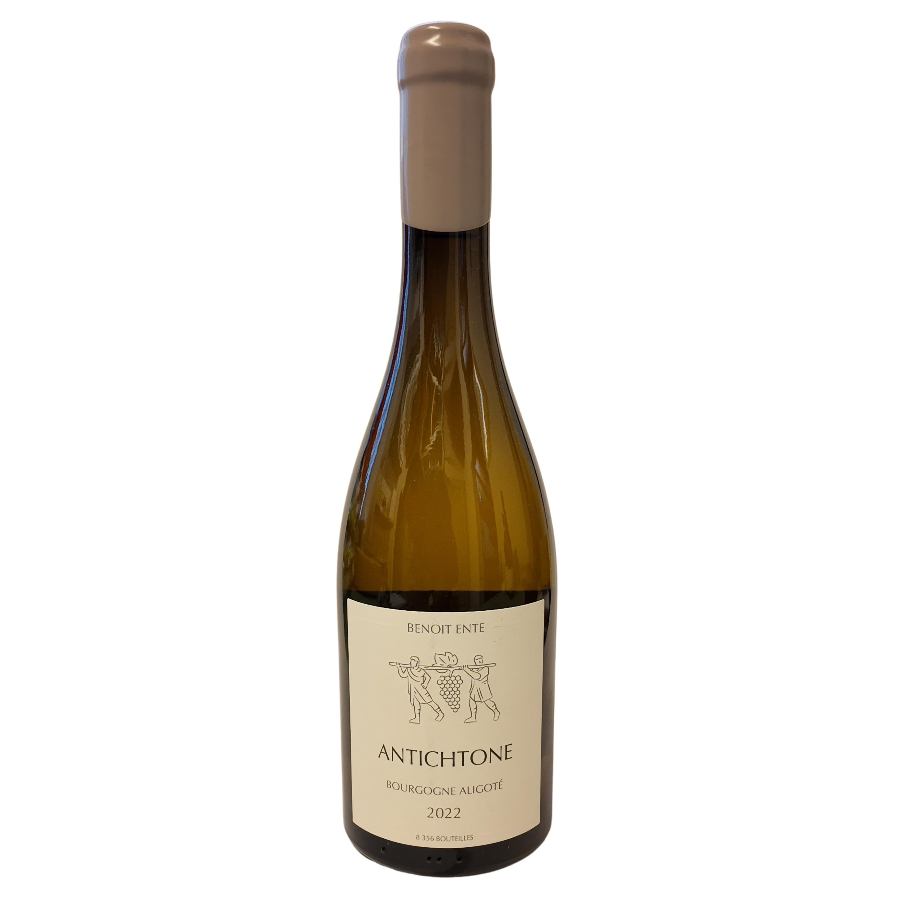 Aligoté Antichtone Benoit Ente 2022 Aligoté Antichtone Benoit Ente 2022  Bourgogne 