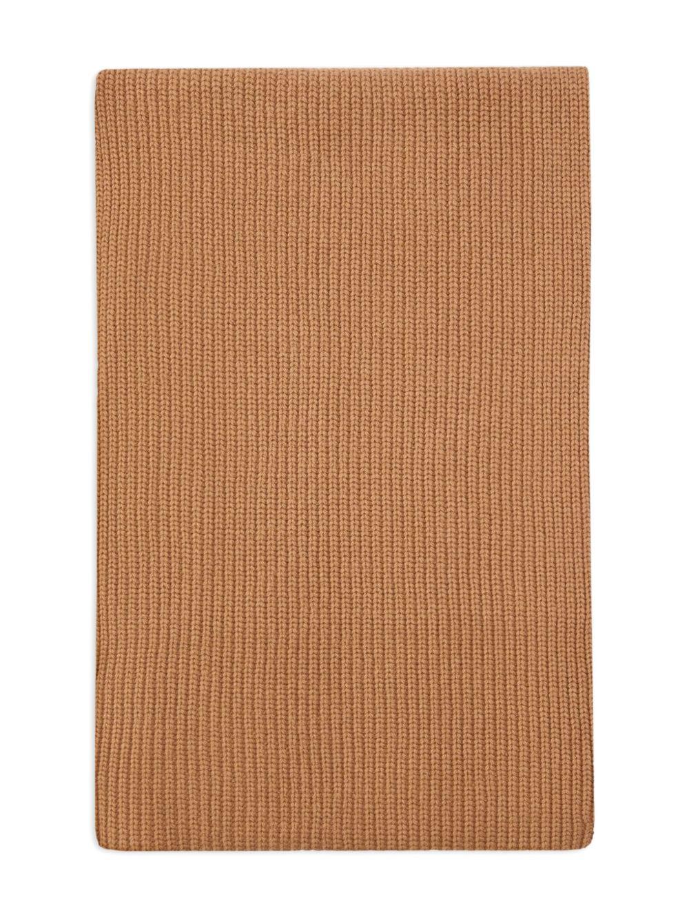 Wool blend ribbed scarf 105996 A2Z4D23 PINKO 