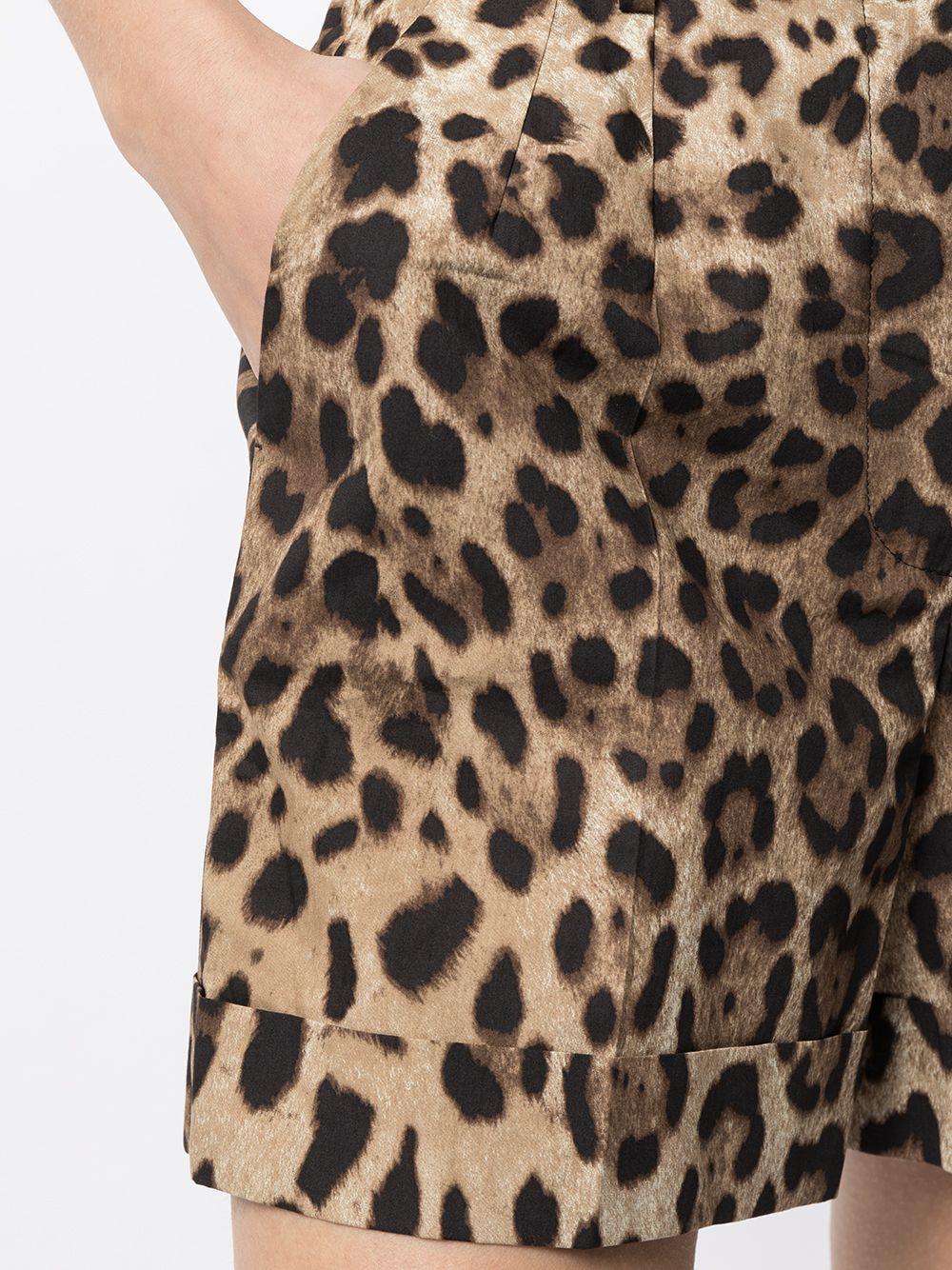 Leopard print poplin shorts FTASXT HS5E3HY13M DOLCE & GABBANA 