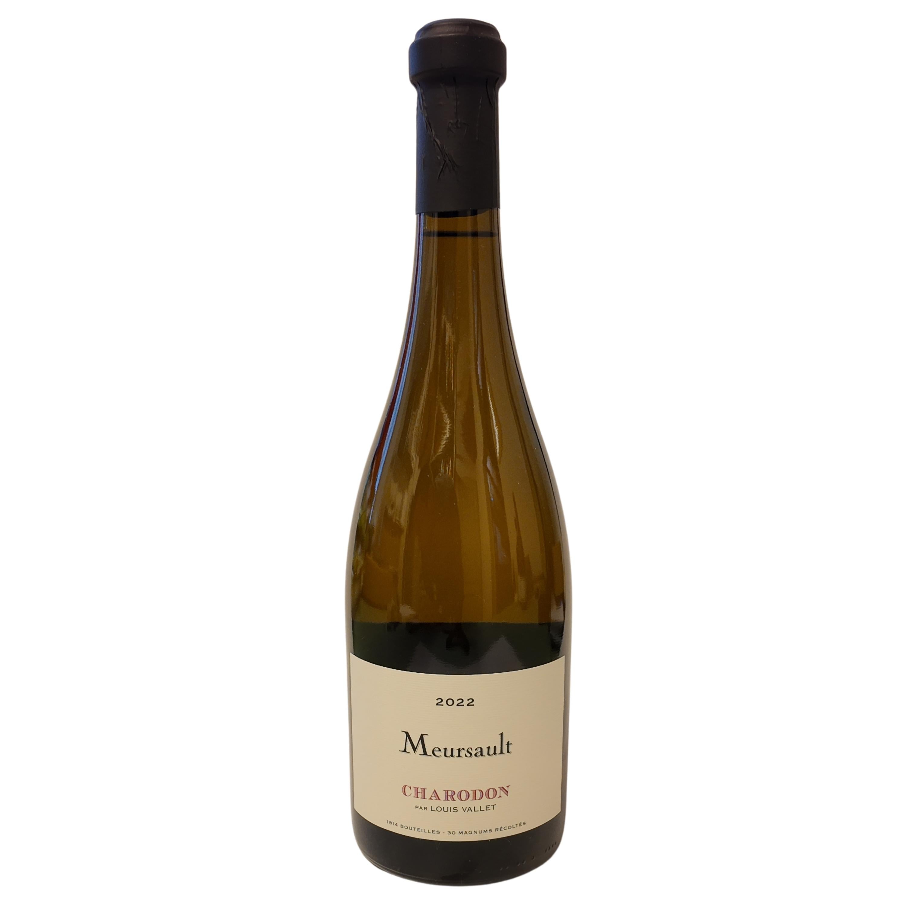 Mersault Chateaux de Charodon 2022 Mersault Chateaux de Charodon 2022  Mersault 