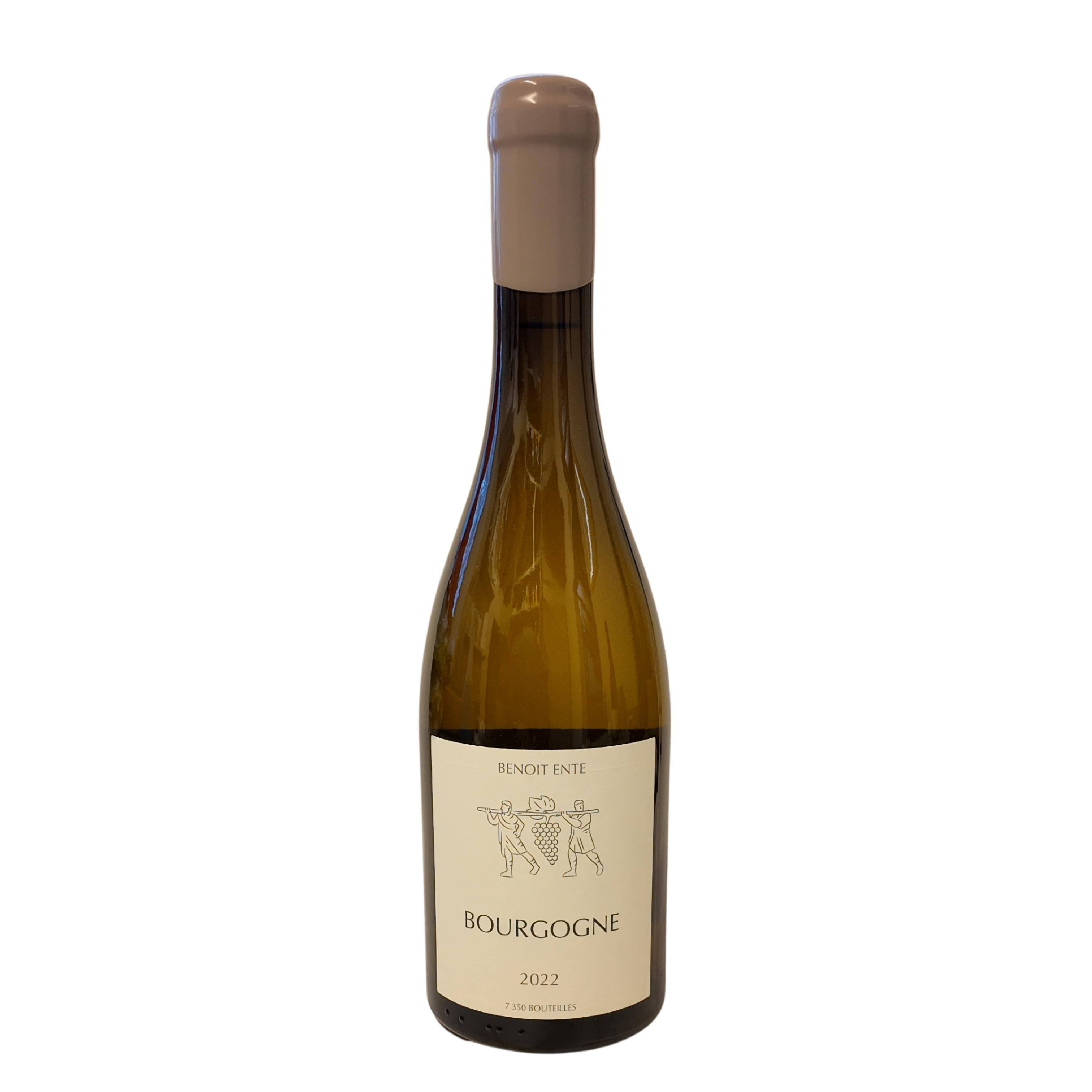Bourgogne Chardonnay Benoit Ente 2022 Bourgogne Chardonnay Benoit Ente 2022  Bourgogne 